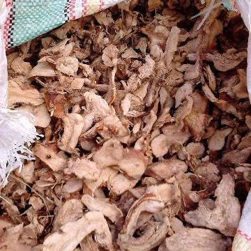 DRIED GALANGAL