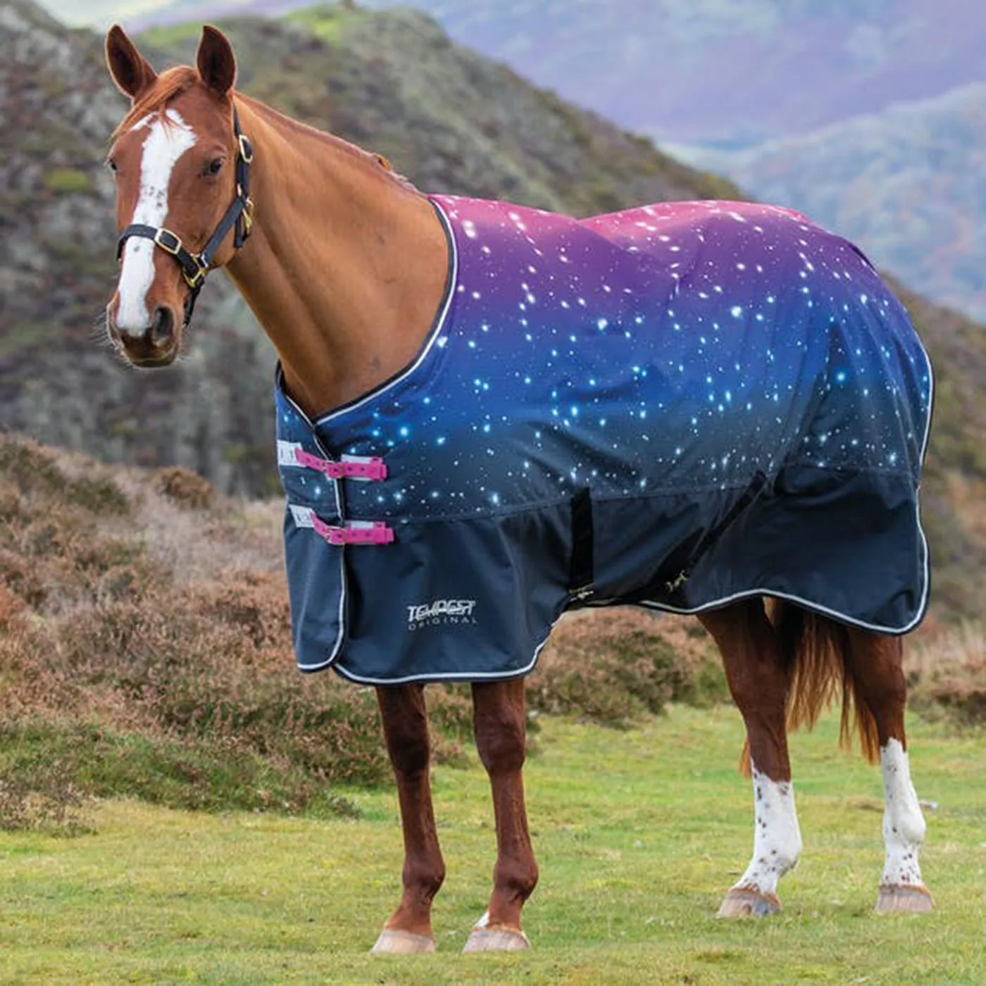 Summer Horse Combo Mesh Fly Hybrid Rug Purple Poly Cotton Strip Ribstop Standard Size Turnout Blanket Canvas Shell