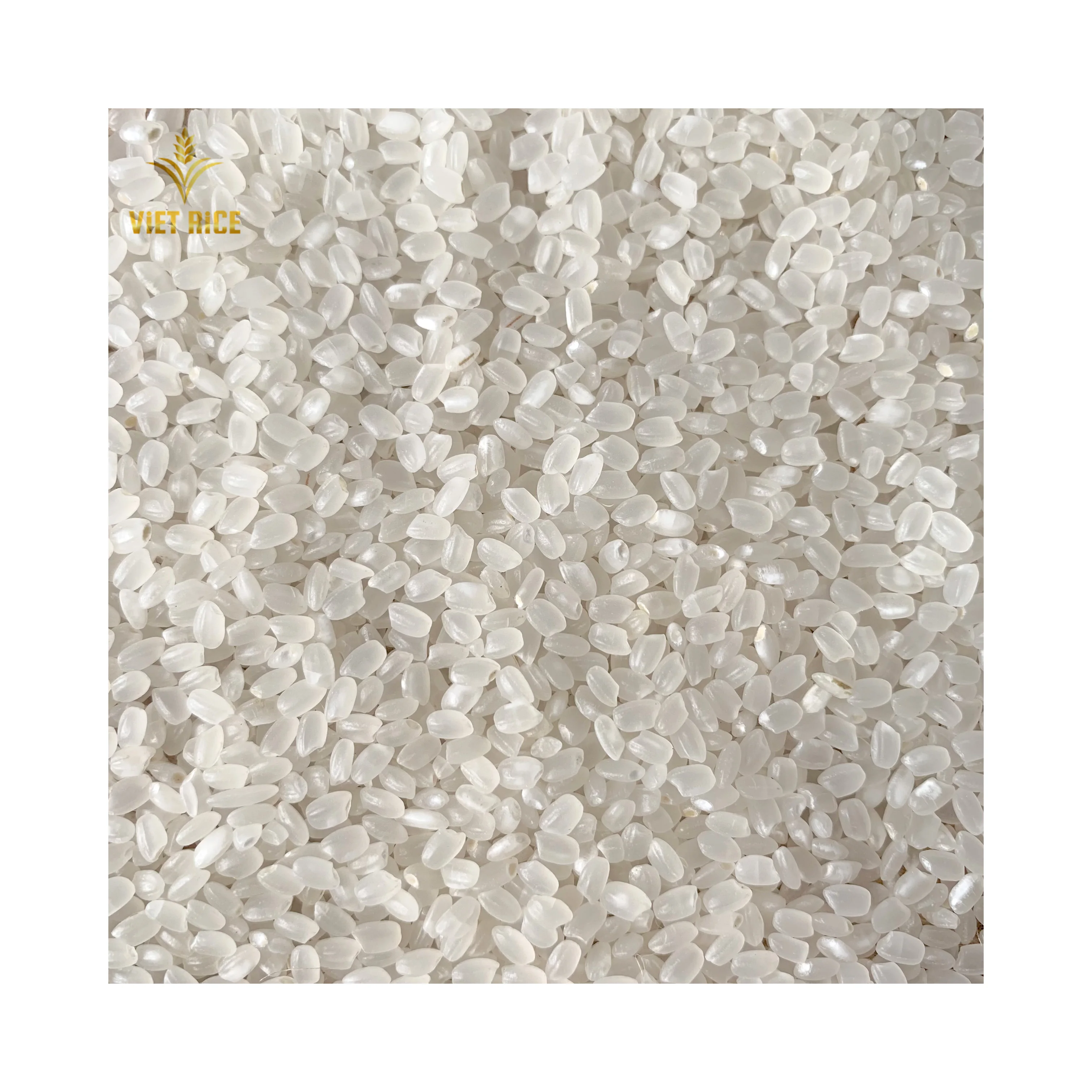 Японский рис (рис для суши)-сверхпремиум короткий рис из вьетнамской фабрики, готовый к экспорту + 84 777 067 354