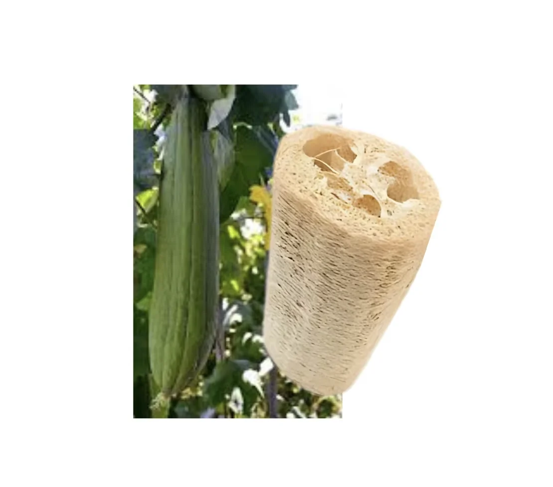 Luffa Sponge Body and Foot Scrub for Bath Brushes Sponges & Scrubbers