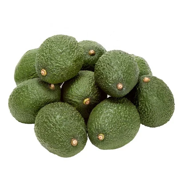 Affordable Fresh Avocado Pure and Natural For Wholesales