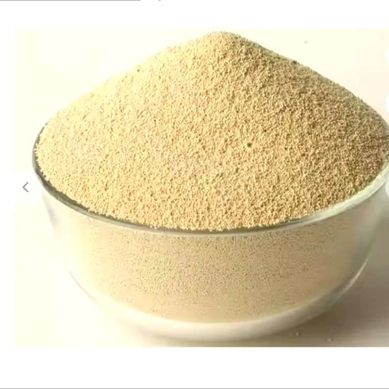 Fish Meal Wholesale