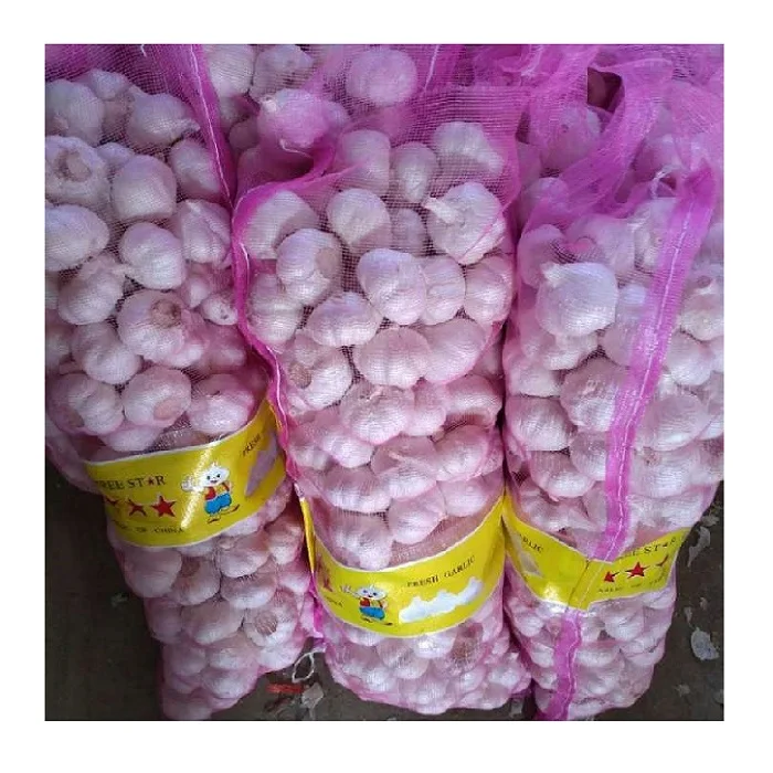 Wholesale white garlic fresh garlic with good price
