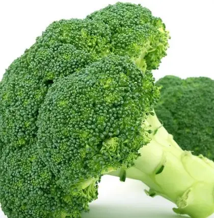 IQF Vegetables Wholesale Bulk Fresh Frozen Broccoli from Germany
