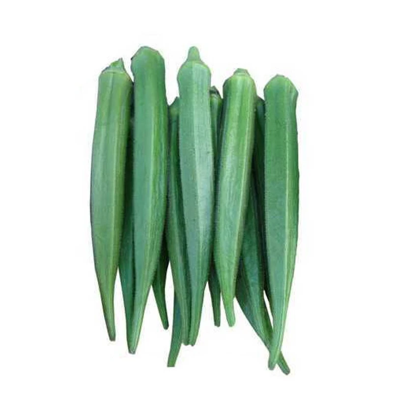 High Quality Competitive Price Fresh Okra (Lady Finger Okra)