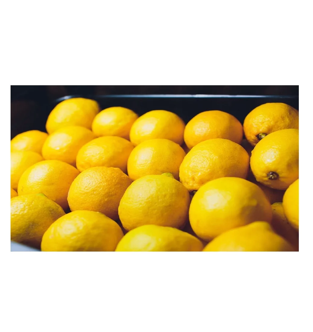 Manufacturer New Crop yellow lemon Fresh Lemon