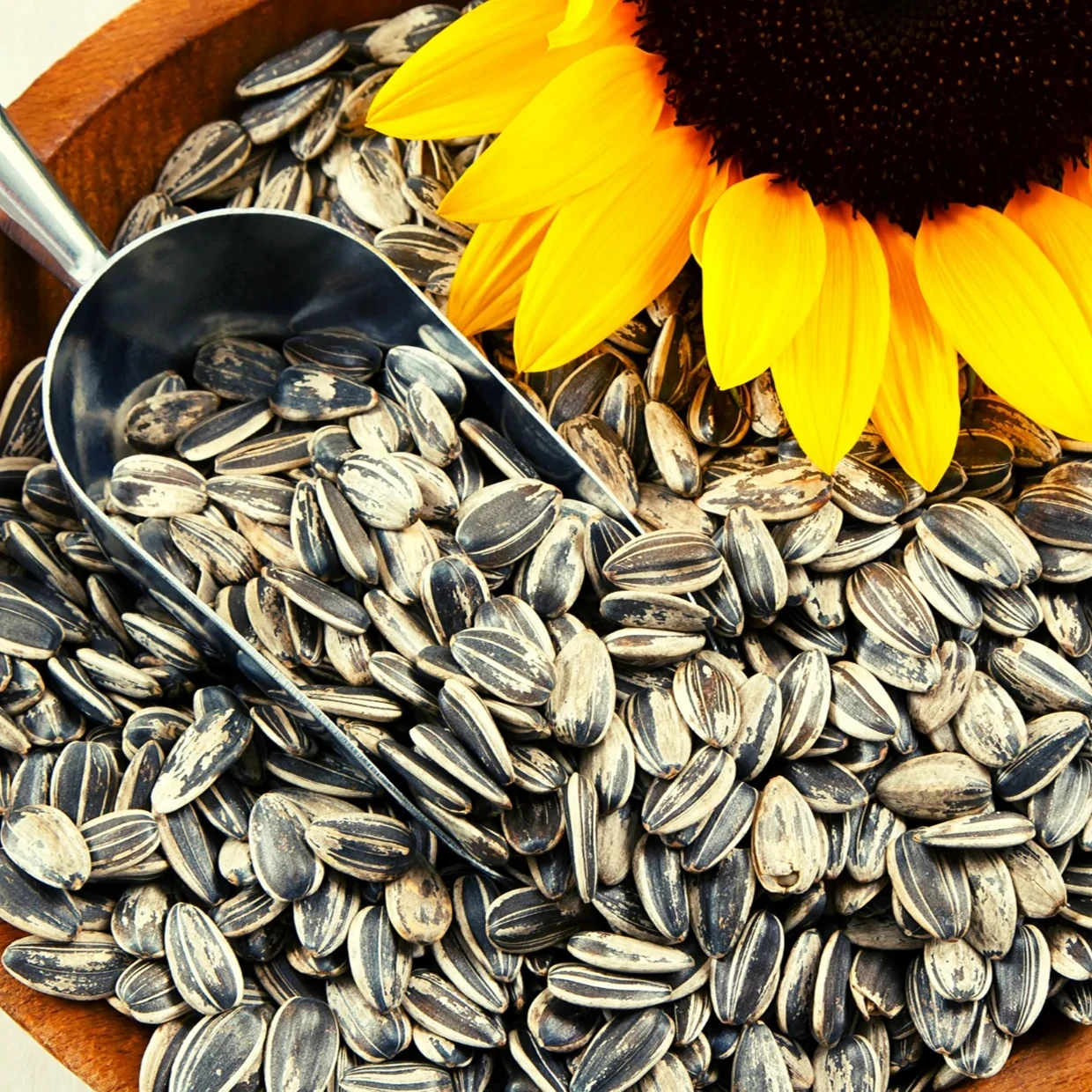 Black sunflower seeds High Quality New Crop Sunflower Seeds Raw Sunflower Seed For Oil Natural Wholesale Human Consumption
