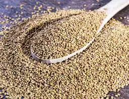 Alfalfa Hay Animal Feeding &  Alfalfa Hay Bales For Cattle Feed & Horse Feed For Sale