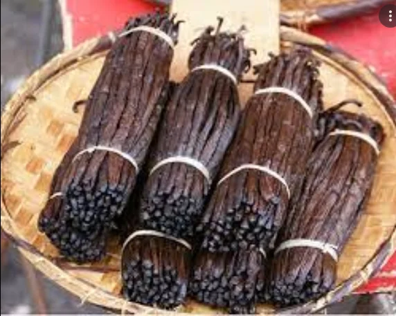 2134 Xiangcaodoujia Hot Sale Top Quality Vanilla Beans Madagascar