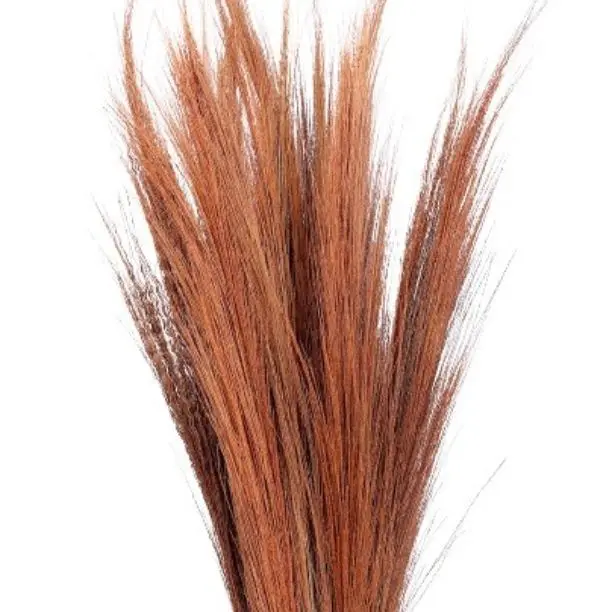 High Quality Wholesale Natural Broom Grass for DIY, Events Decor & Other Dried Flower Decor