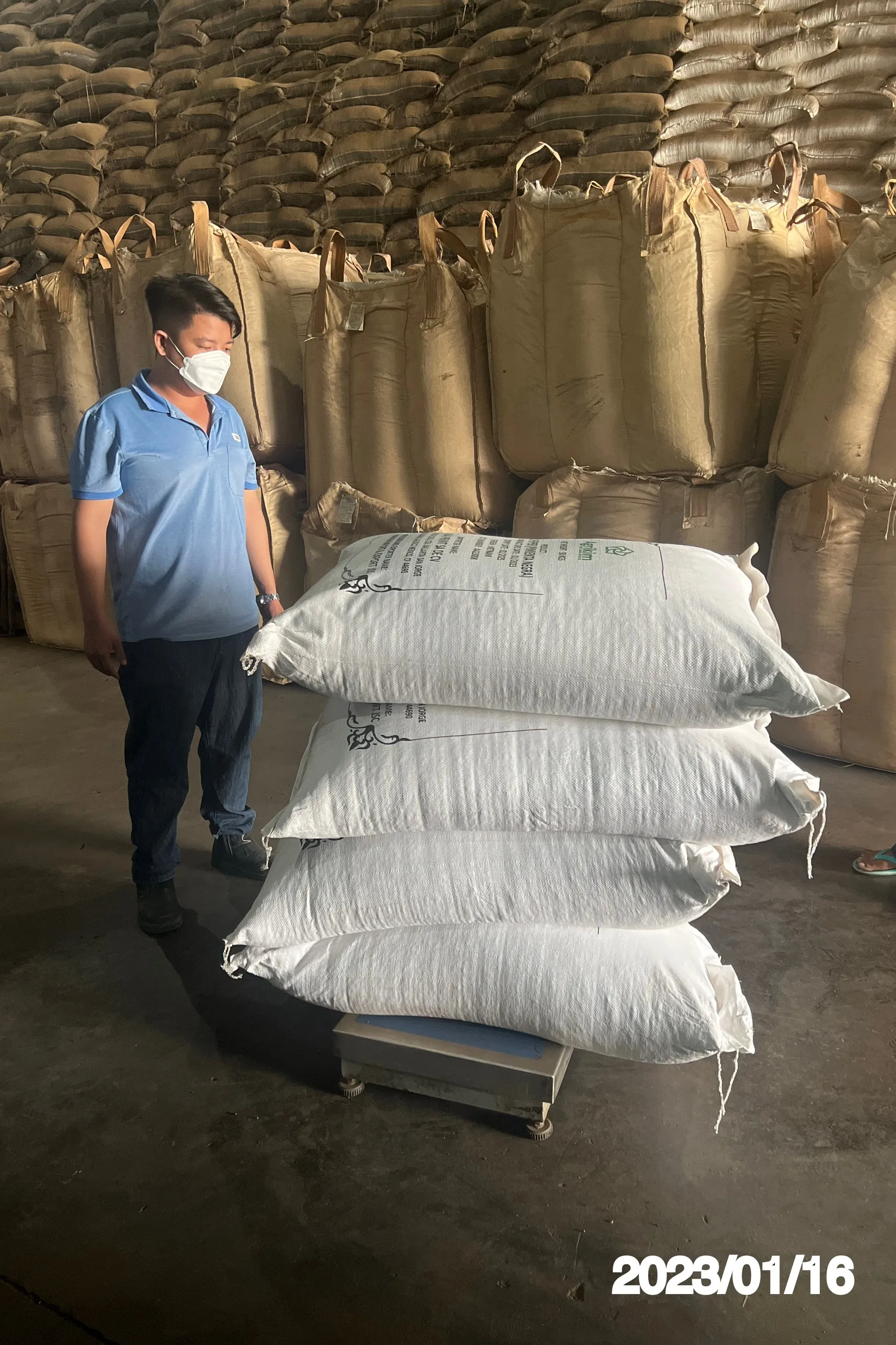 Organic Spicy Black Pepper Ground with Best Price in Bulk Quantity Natural Vietnam Pepper Hot Selling Dried Black Pepper