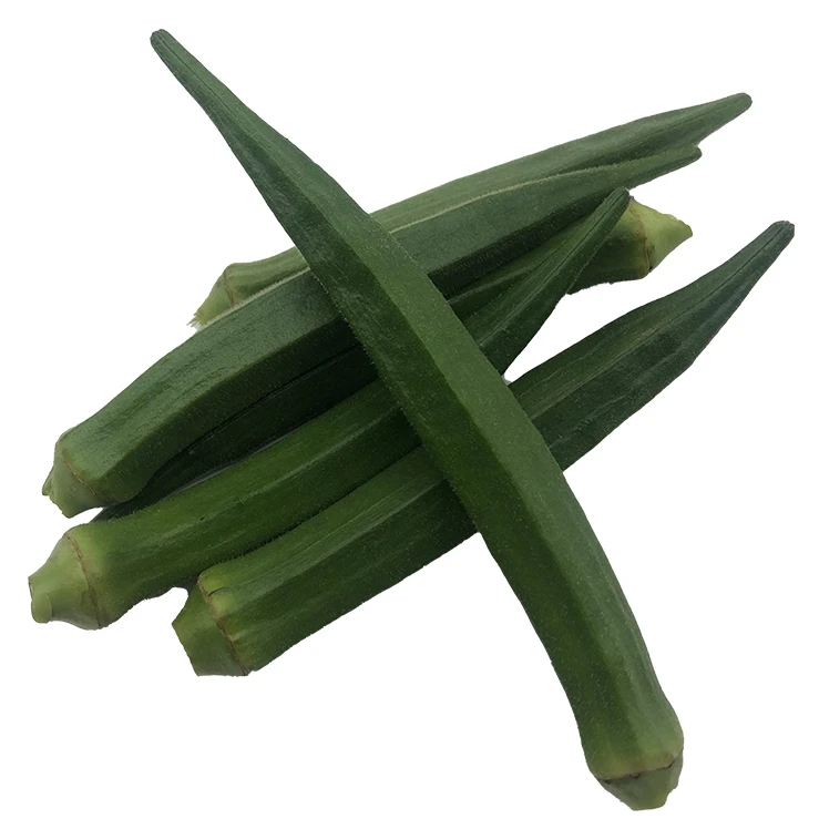 Premium Quality Imported Grade  Herb Temperature measuring Quality Selecting Fresh Galangal for Consuming Okra