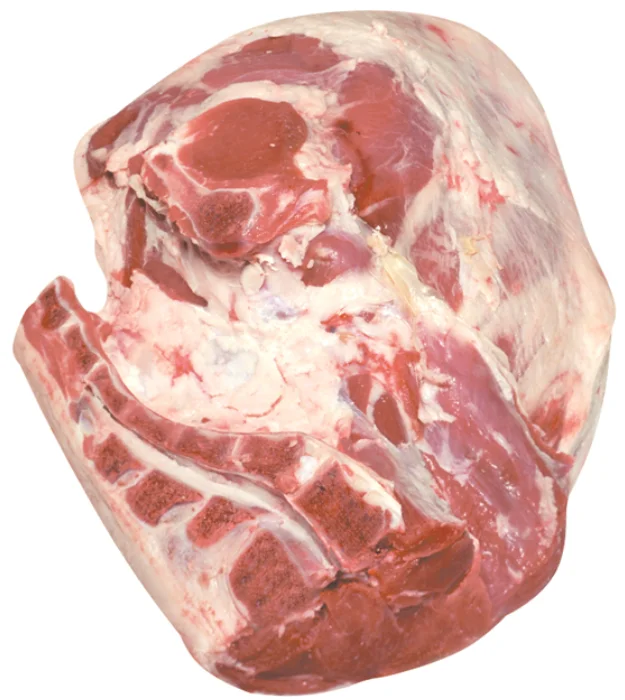 TELESCOPED CARCASE 4505