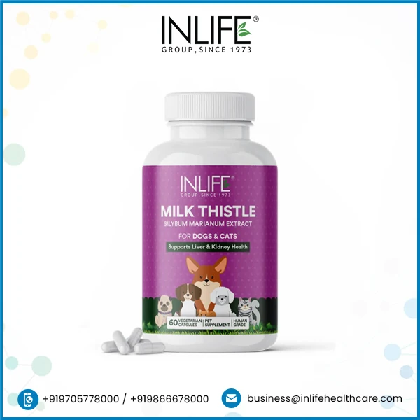 Premium Milk Thistle Capsules Traditional Herbal Support for Pets with Pure Vegetarian Ingredients