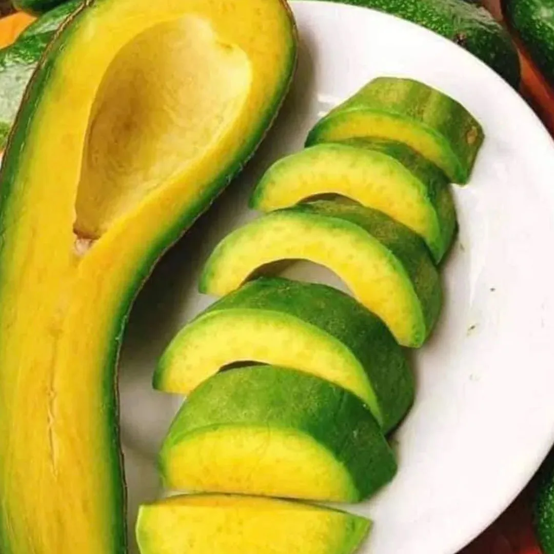 FRESH AVOCADO Green Tropical Fruit With High Quality And BEST Price 2023 Export Standard Fresh Avocado For Multiple Purposes