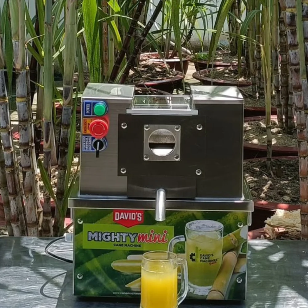 Top-tier Quality Frozen Sugarcane Tropical Sugarcane Juice Concentrate Made in VietNam Cheap price Nutrient-Rich Beverage