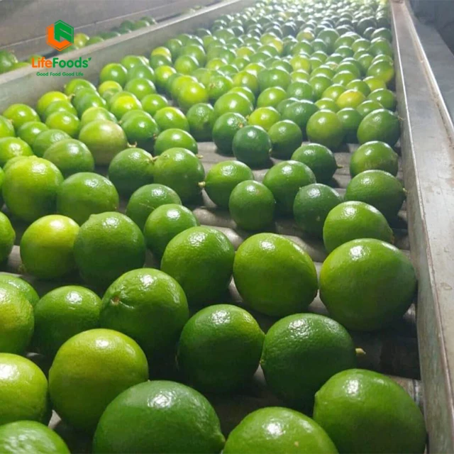 Lime Green OEM Package Weight Size Low MOQ Support Grade lemon Fresh Seedless Lime Lifefoods from Vietnam