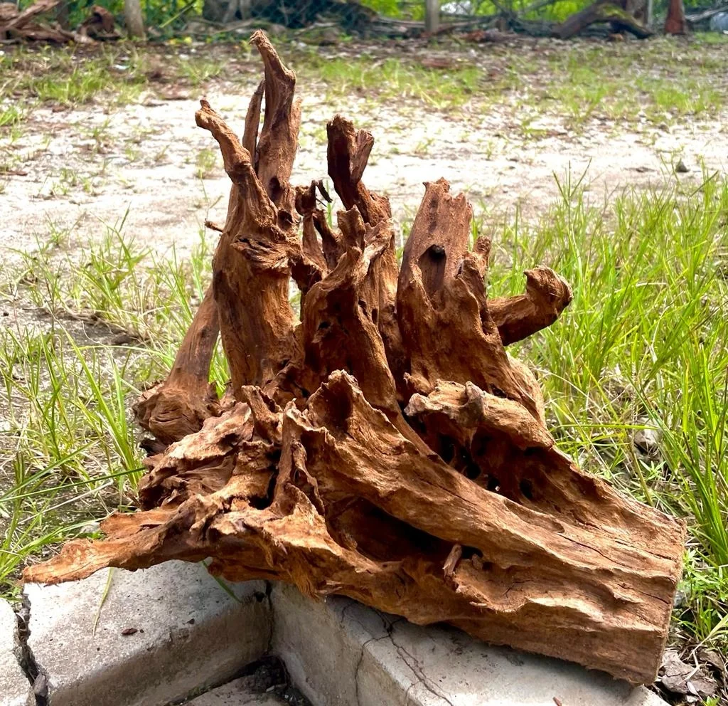 Hot selling Malaysian Driftwood Aquarium & Accessories Tank Decoration Tough Wooden Mangrove Tropical Fish Furniture Lake River