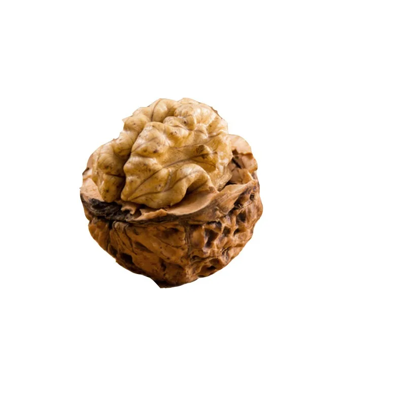 Best Quality Walnuts Supplier Best Price