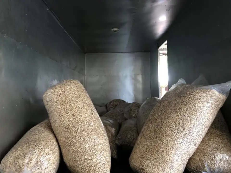 Cashew nuts are cheap. Vietnam Export Products Organic Cultivation Type Blanched Processing Type Fresh Cashew Peeled