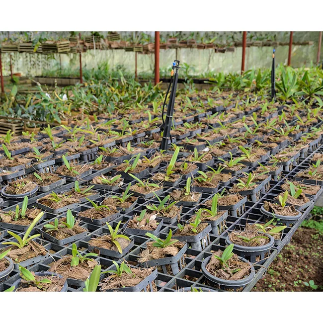 COIR PEAT - COCO 5KG BLOCKS MEDIUM WASHED