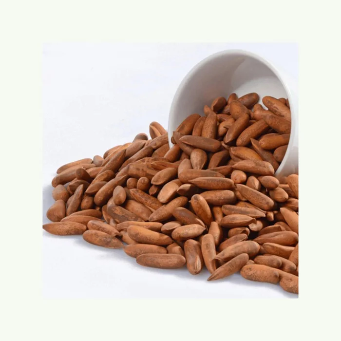 Good Quality Top Selling Pine Nuts Chilgoza Available in Custom Packing