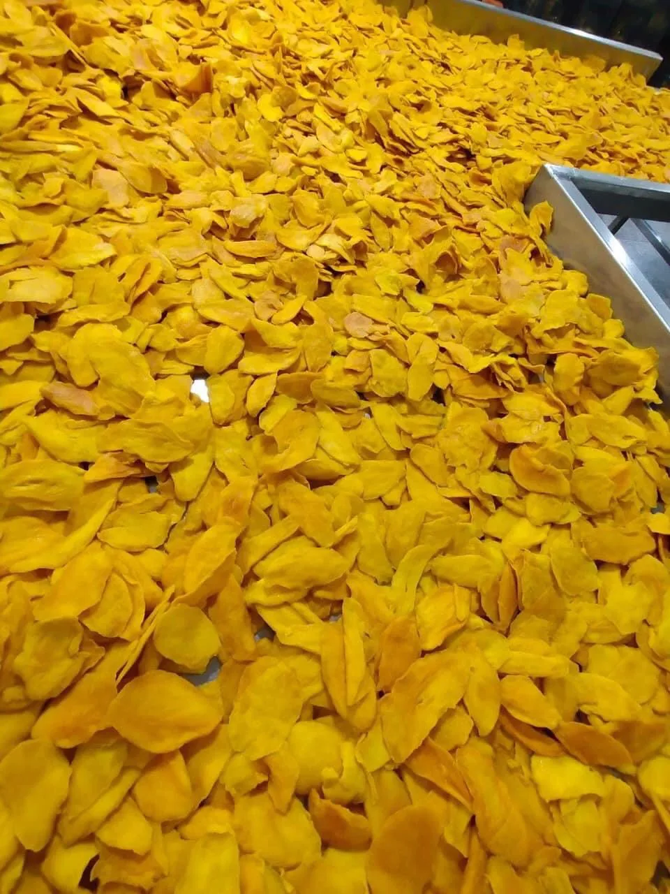 Hot Deal for Wholesale Premium Quality Delicious Dried Mango Fruit for Sale, Cheap, and Soft