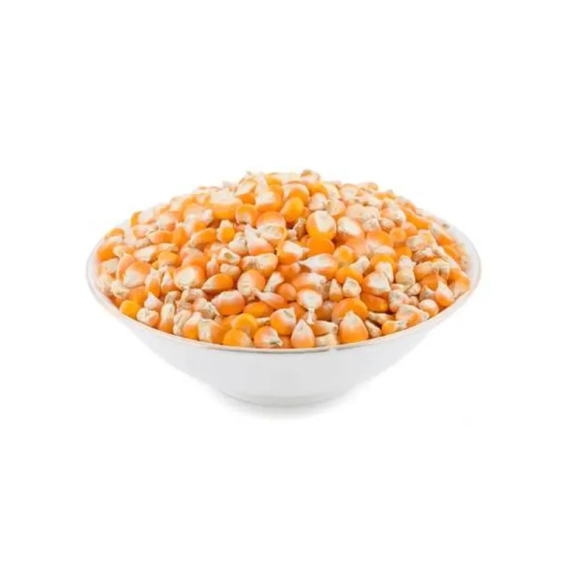 Corn Seed Yellow Cattle,chicken Food a Grade Maize 20PPB MAX 2% MAX 3% MAX 8% MIN 0 Admixture (%) Grain from IN;7903232