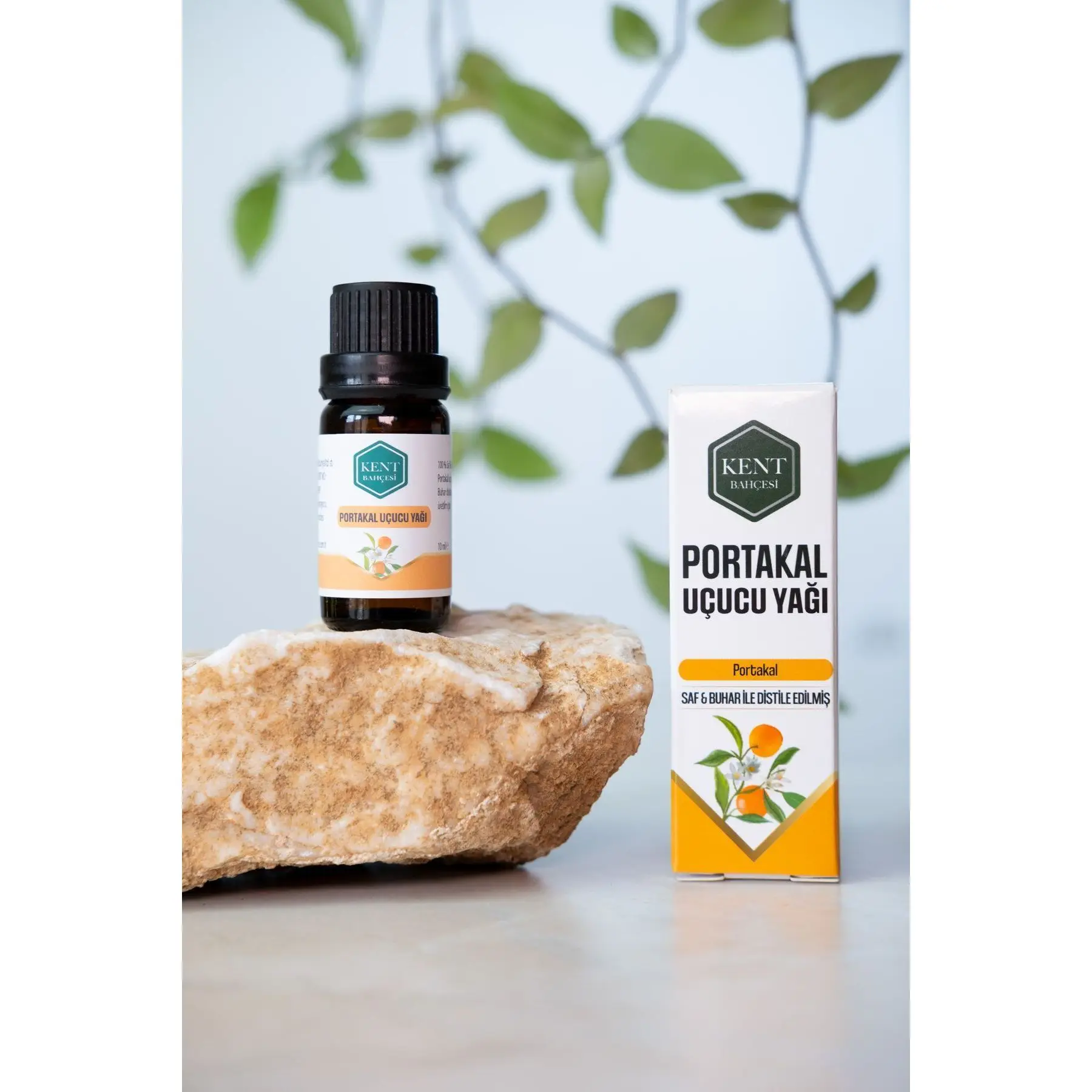 Essential Oil Set Organic Rosemary Orange Thyme for Body Whitening Tea Ingredient 100% Pure Natural Additive-Free 3-Piece