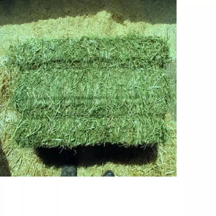 American Alfalfa Lucerne Hay for Animal Feed Cattle Horse Cow Chicken Pet Alfafa Hay Animal Feeding Stuff Alfalfa,