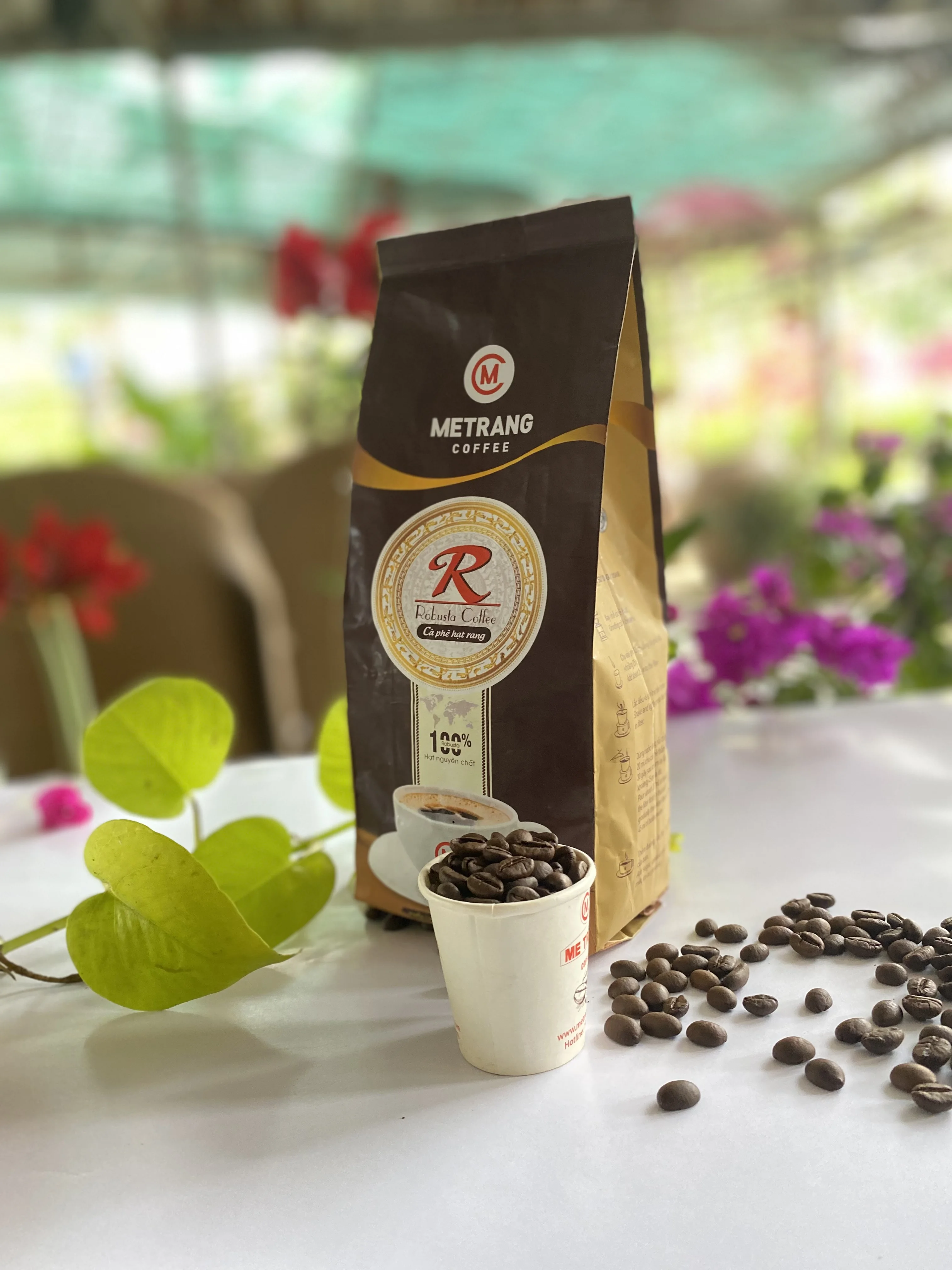Medium Roaste Type Caffeinated Arabica Coffee From vietnam In Bag Packaging Robusta roasted coffee beans