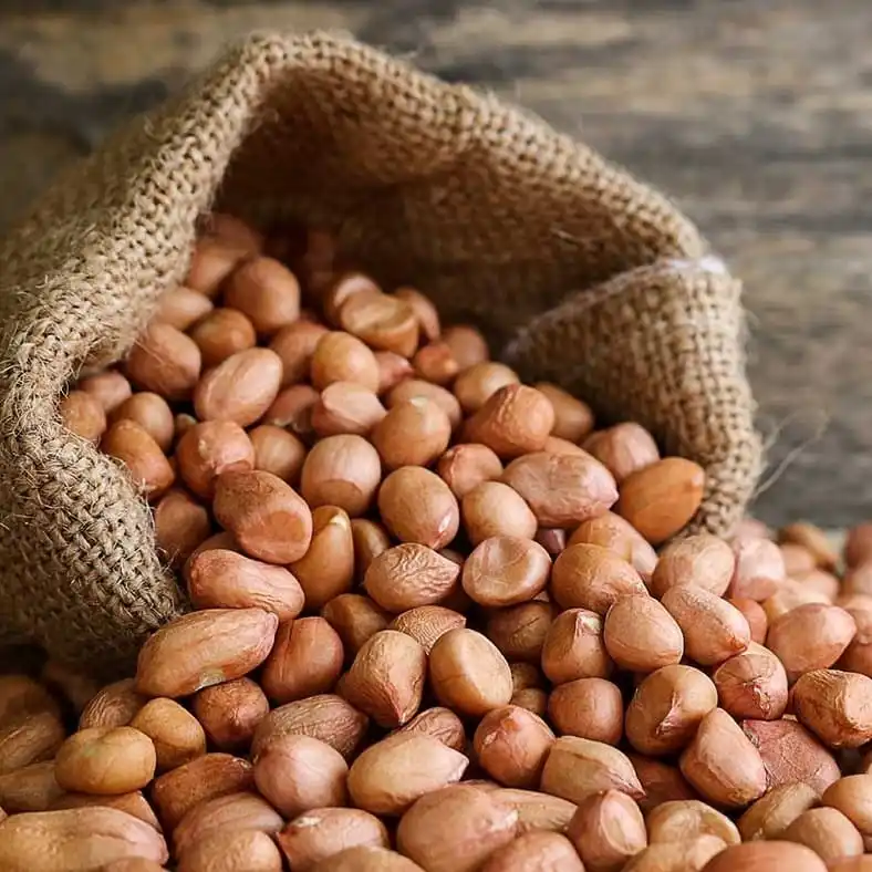 Highest Quality Peanut ,Dried Kernel Peanuts Groundnut