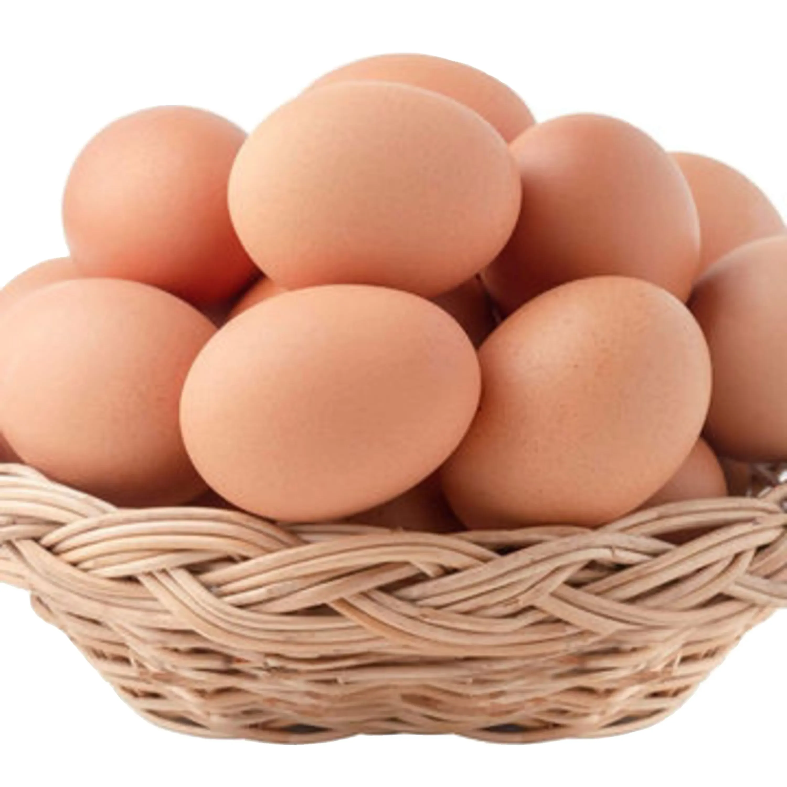 EGGGSSS 4.png