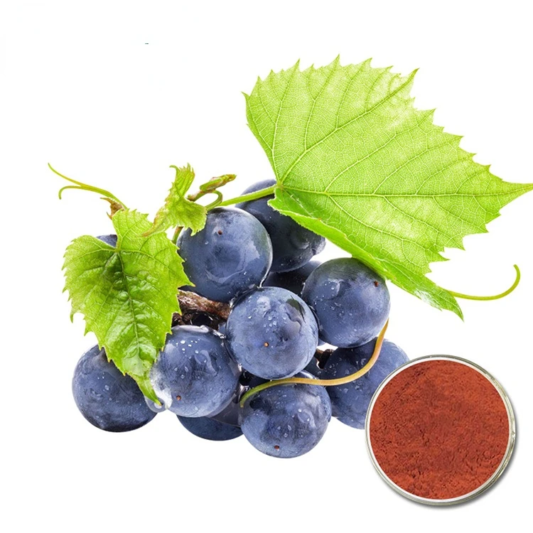 Best price with high quality 100% pure and natural proanthocyanidin( OPC ) grape Seed Extract