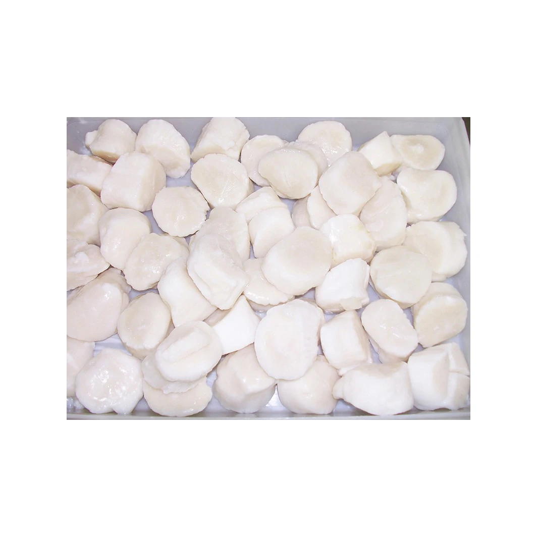 frozen sea scallop meat with scallop scallop shellfish