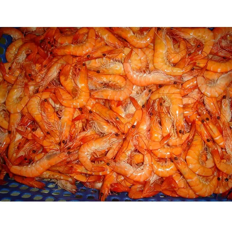 Shrimp Wholesale. Frozen vannamei white shrimp raw peeled deveined tail