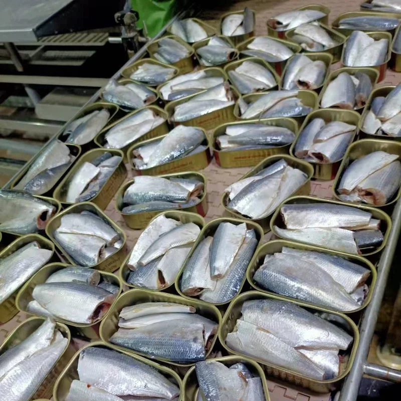 Wholesale Factory Price OEM/ODM Available Large Supply Canned Fish Extremely Short Delivery Cycle Canned Sardines In Oil