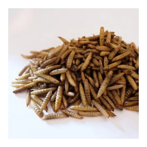 Dried Mealworms Are Naturally High in Protein, Vitamins and High Grade Edible Oils Made in Viet Nam