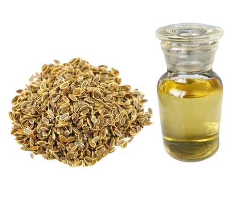 Buy Fully Organic Dill Seed Oil For Multi Purpose Usable Oil Top Grade Manufacture in India Low Prices By Exporters