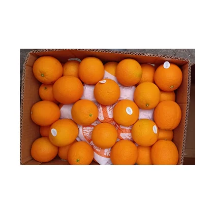 High Quality Fresh Valencia Oranges Fresh Fruits At Low Price