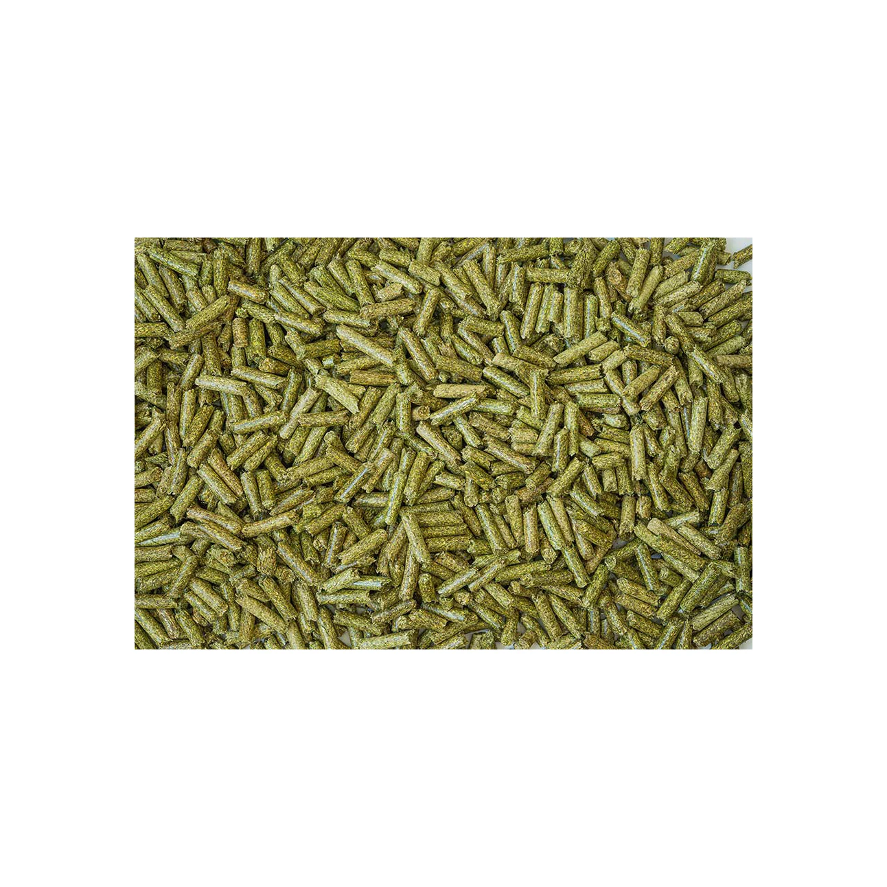 ready to supply / Alfafa pellets and cubes / for wholesale price