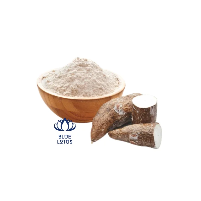 Vietnam Tapioca Starch Cassava Starch competitive price for export