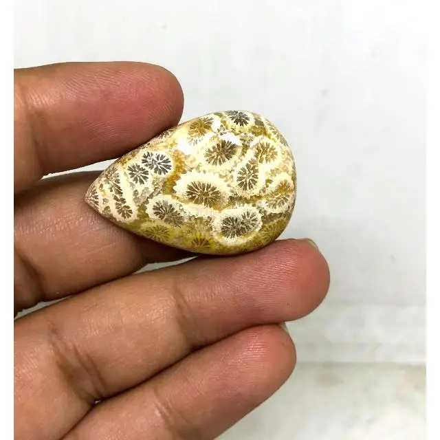 Best Price Beautiful Accessories Wholesale Price Cabochon Loose Gemstone Cabochon Fossilized Coral Gemstone for Jewelry  Making
