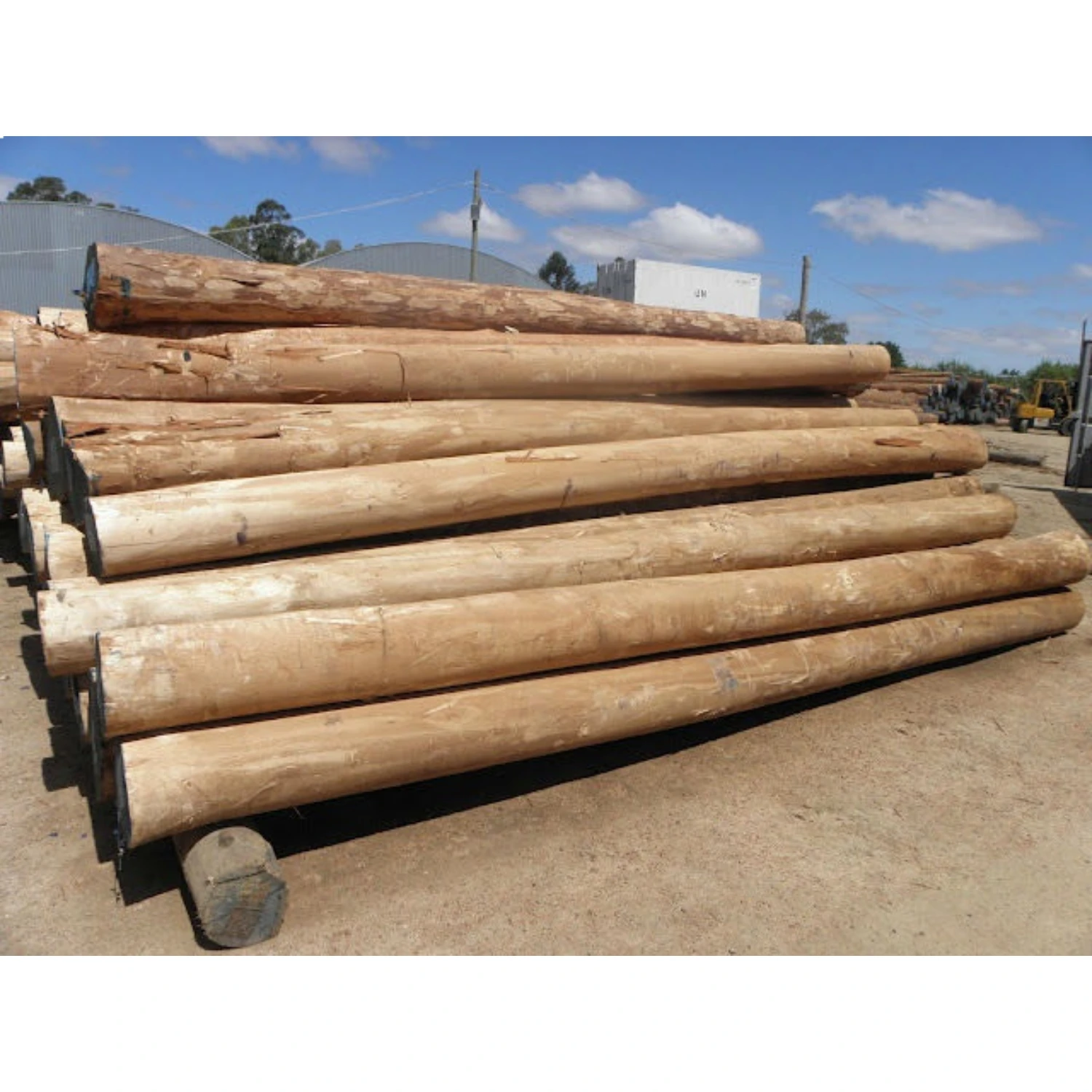 Производители дров по лучшей цене сушеные 100% эвкалиптовые бревна оптом для древесного сырья