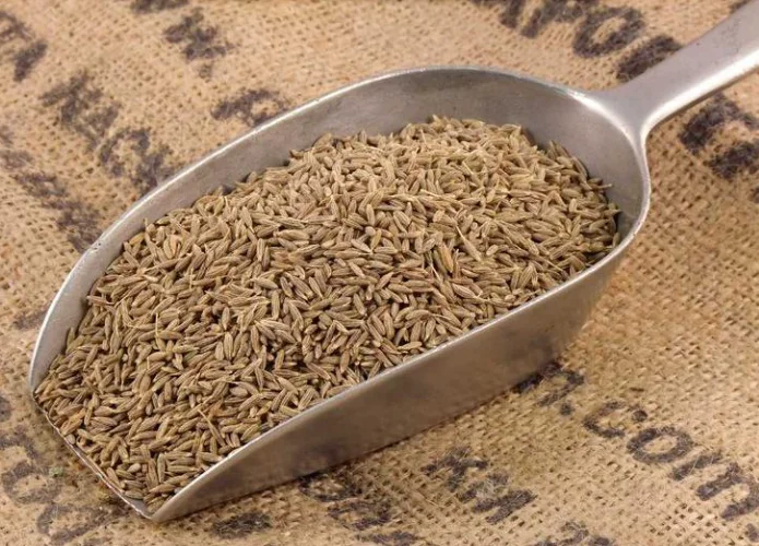 High Quality Nature Cumin Seeds Single Spices Seasoning fennel seed and cumin seeds Pure Organic Agrowell Turkish Goods