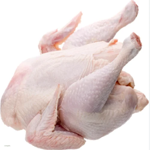 High grade HALAL certified vacuum packing products from manufacturer netherlandS whole chicken body carcass for food