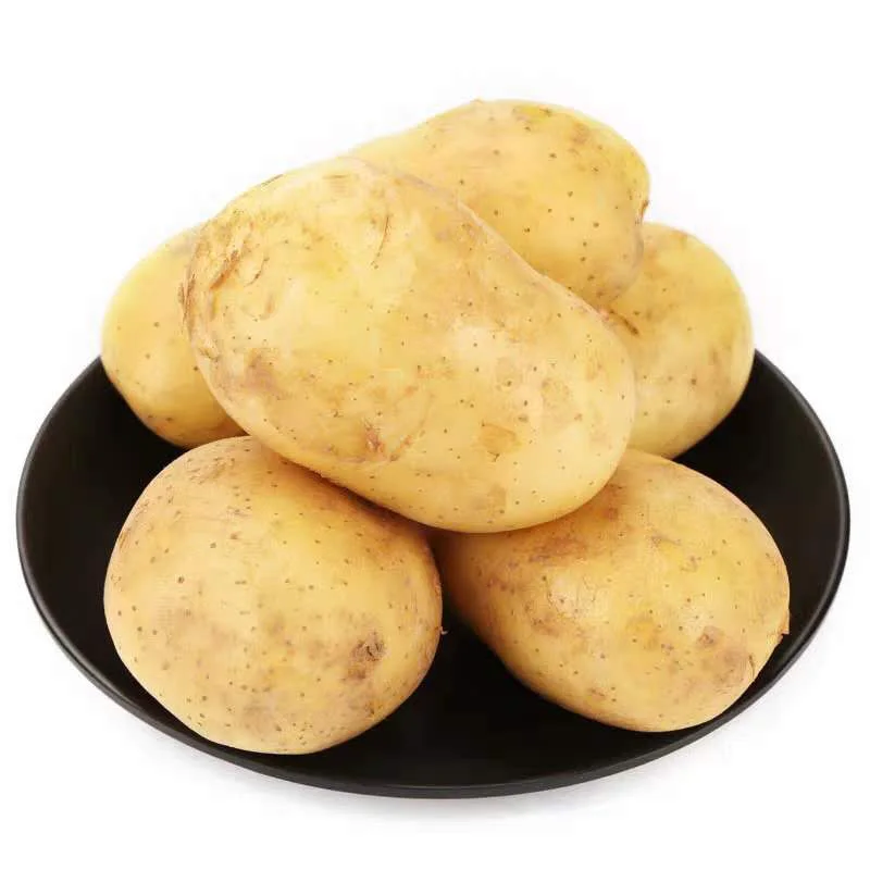 Cheap Price Bulk Organic Fresh Potato Yellow Color Potatoes Wholesale Export Potato