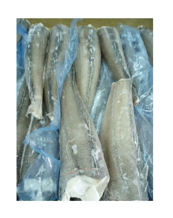 High Quality Frozen Seafood Hake Fish HGT / Whole Fish At Cheap Price Manufacturer From Germany worldwide Exports