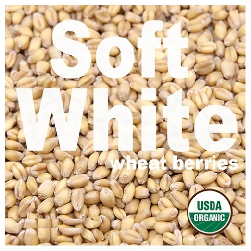 Best Market Price Wholesale Wheat Grain / Top Quality Whole Wheat Grain from Europe fast Delivery