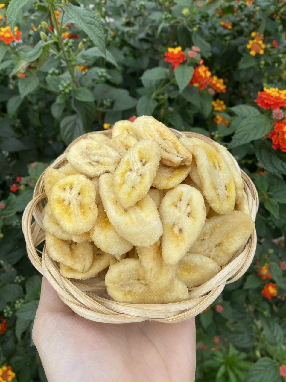 Vacuum frying Banana Chips no sugar good for health made in Vietnam at Safimex company